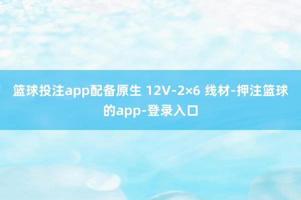 篮球投注app配备原生 12V-2×6 线材-押注篮球的app-登录入口