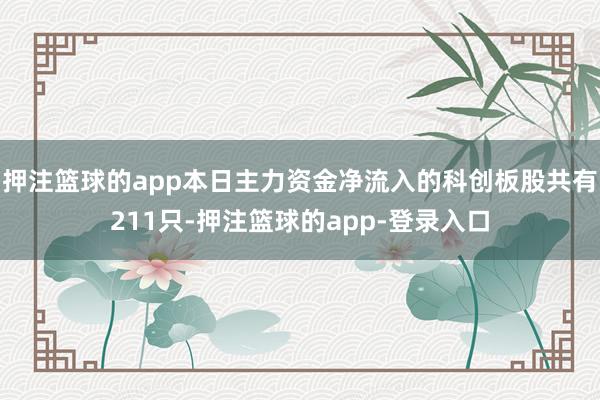 押注篮球的app本日主力资金净流入的科创板股共有211只-押注篮球的app-登录入口