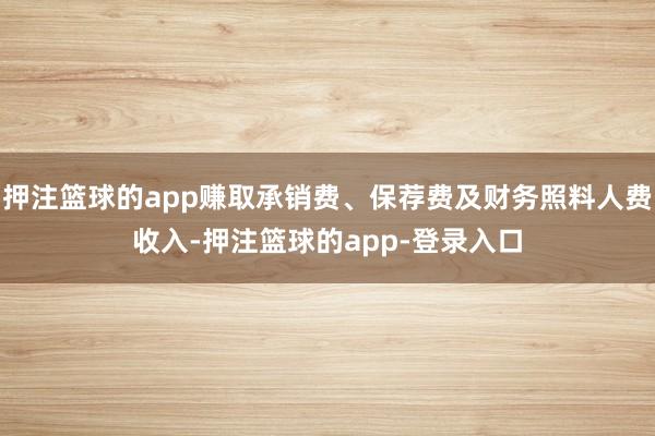 押注篮球的app赚取承销费、保荐费及财务照料人费收入-押注篮球的app-登录入口