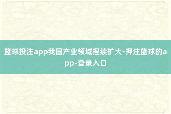 篮球投注app我国产业领域捏续扩大-押注篮球的app-登录入口